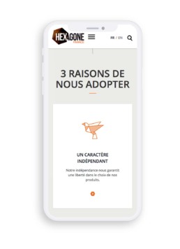 Site vitrine finance
