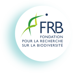 logo FRB