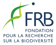 Logo FRB